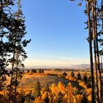 Triple Tree Trailhead