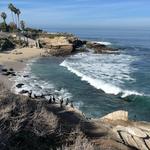 La Jolla Cove