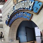 St. Louis Aquarium at Union Station