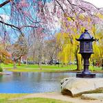 Boston Common & the Public Garden