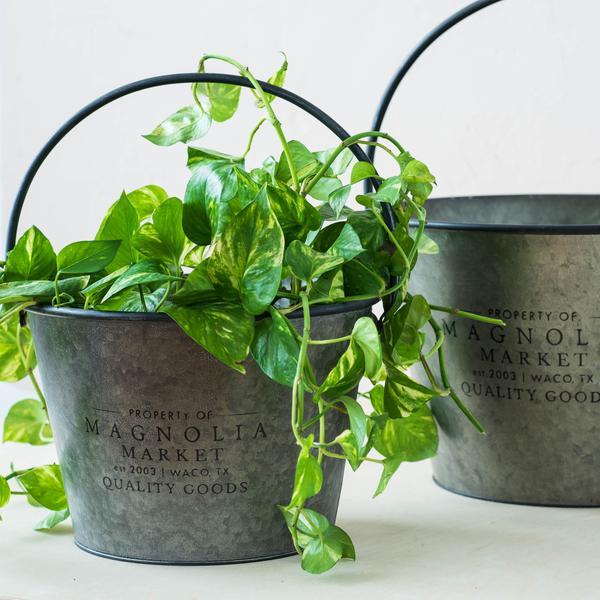 Magnolia Milk Bucket