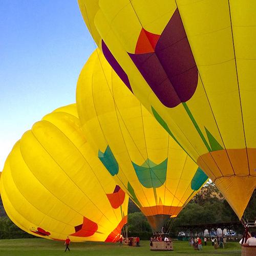 Hot Air Balloon Ride