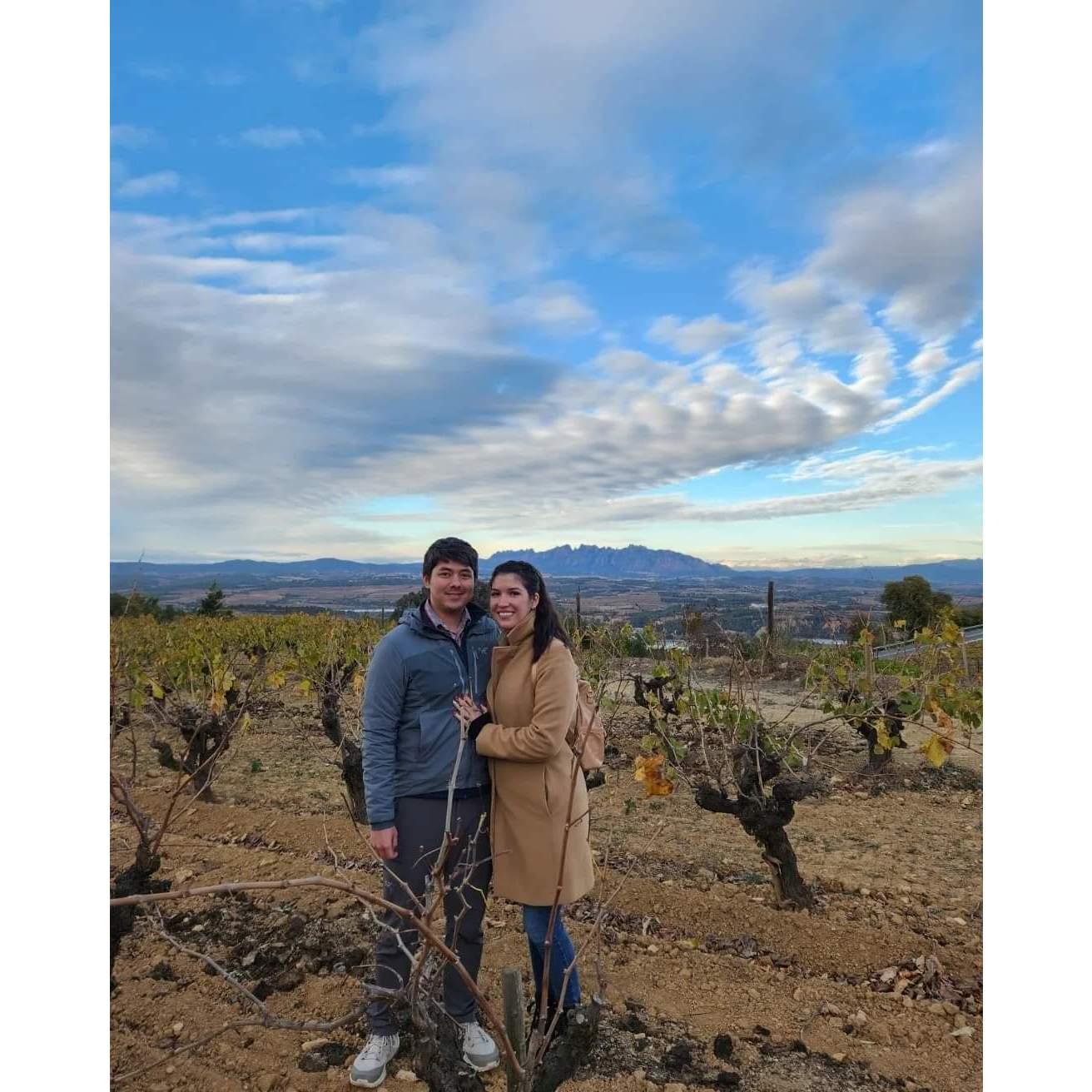 Discovered we love Cava! Wine country in the mountains outside Barcelona.