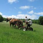 Apple Pond Farming Center