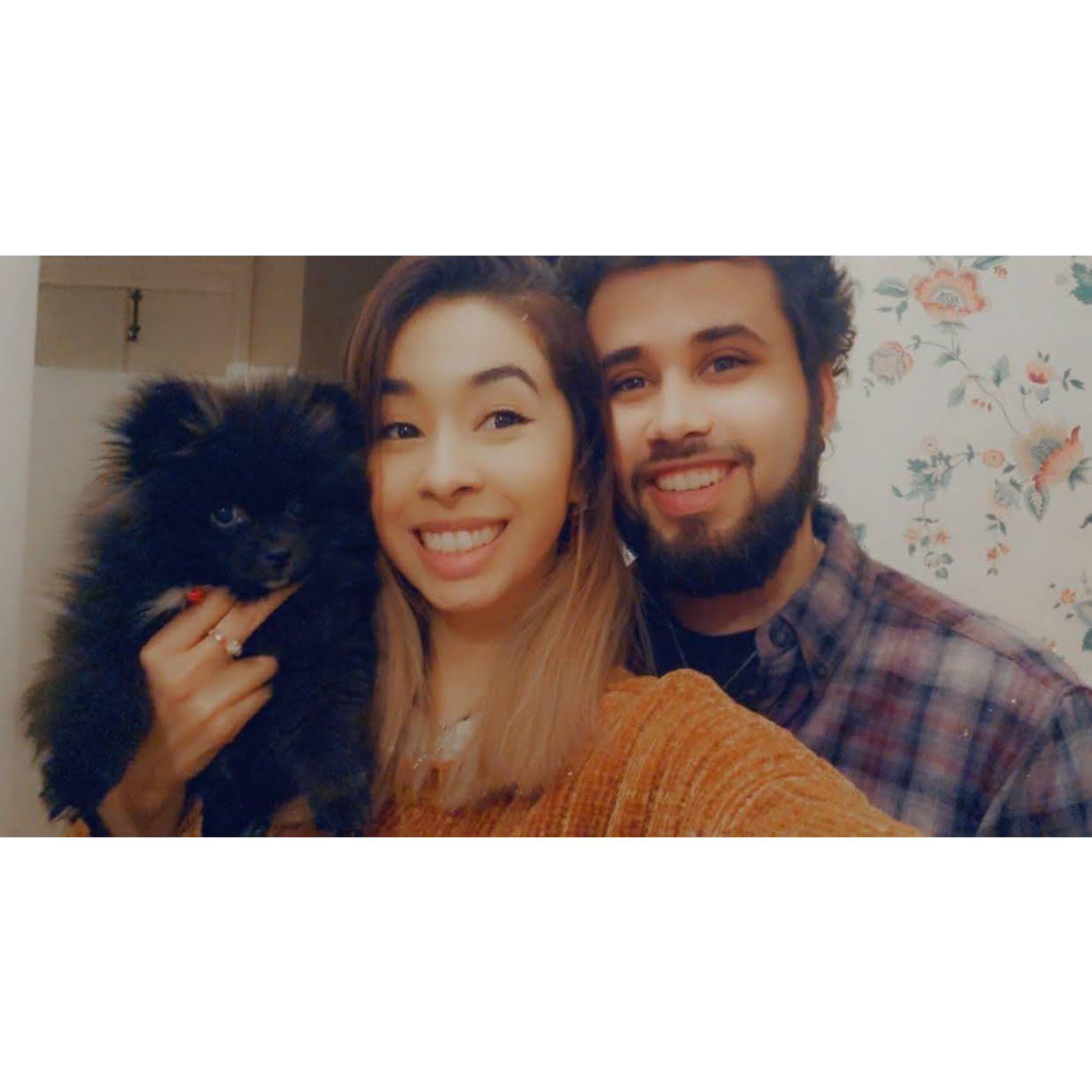 November 2020 we got our little boy Midnight.