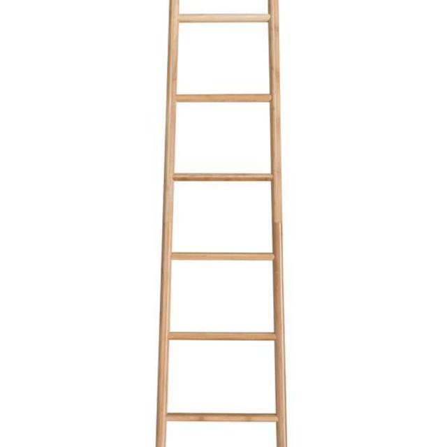 Bamboo Ladder