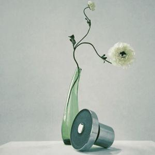 The Jolie Filtered Showerhead