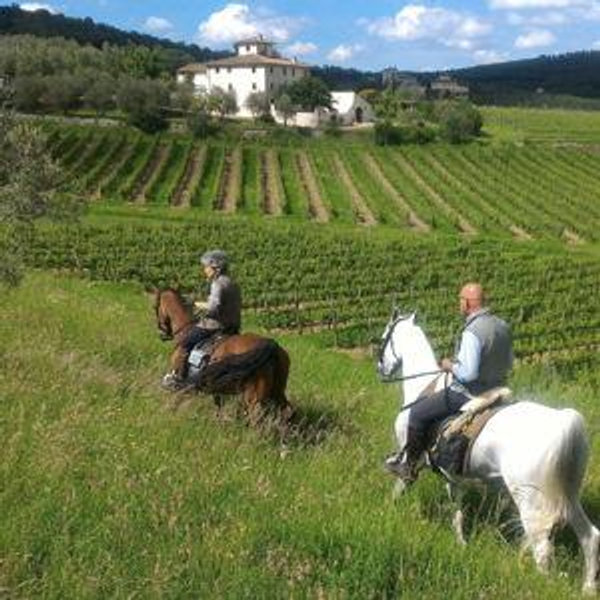 Horseback Riding and Winery Tour in Tuscany