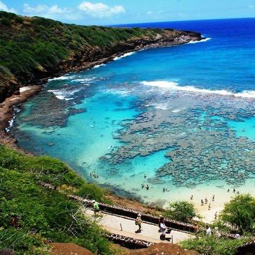 Snorkeling For Two in Hunama Bay