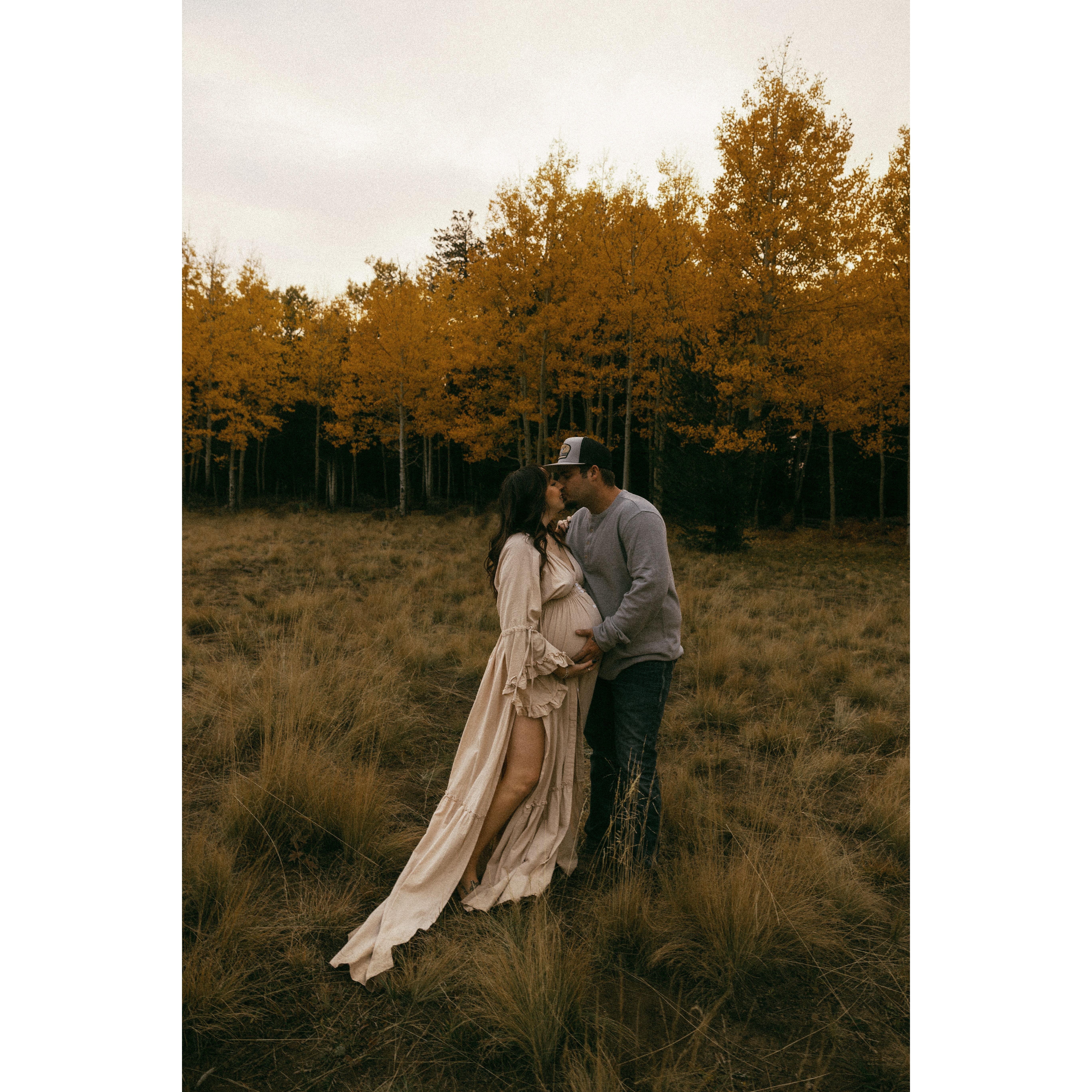 We are happiest in the trees - flagstaff