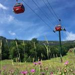 Gondola Skyride at Stowe Mountain Resort