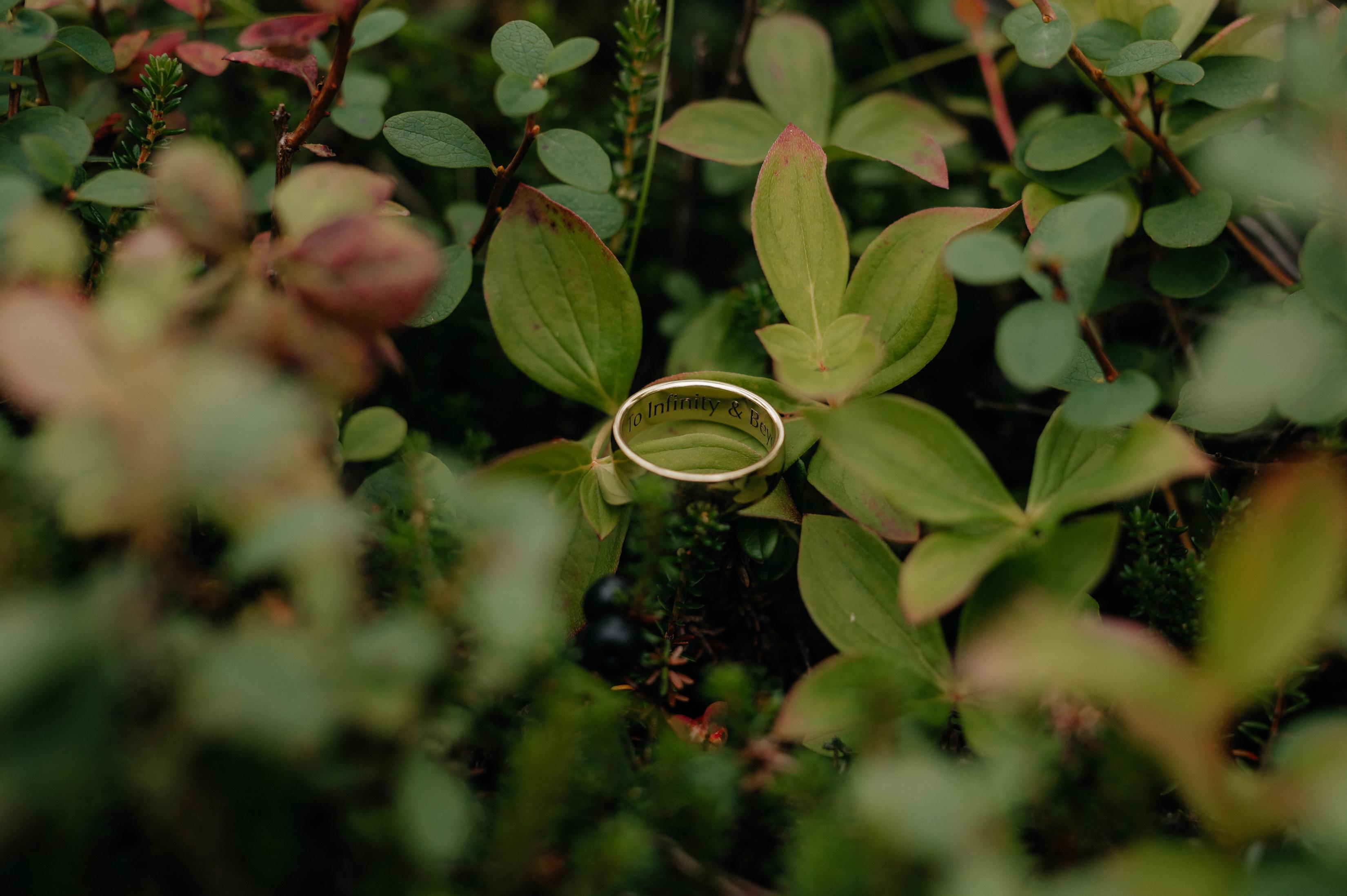 The Wedding Website of Eric Tuzin and Cory Terrell