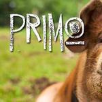 Primo Restaurant