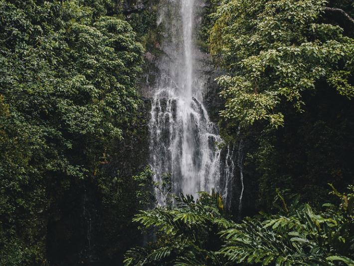 Honeymoon Fund ☼