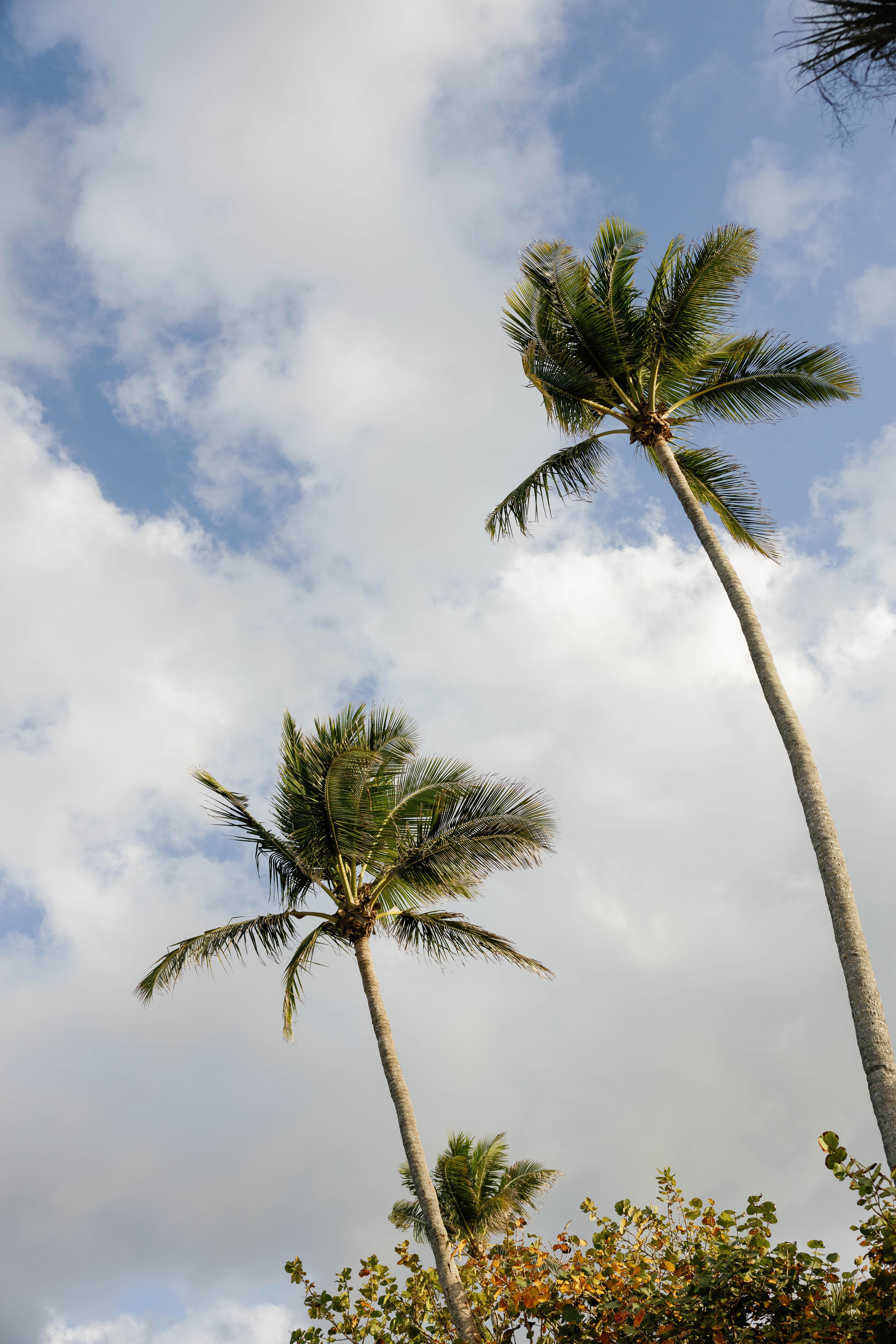 The Wedding Website of Jennifer Criss and Alex Zaner