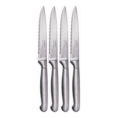 Oneida® Stainless Steel 4-Piece Steak Knife Set