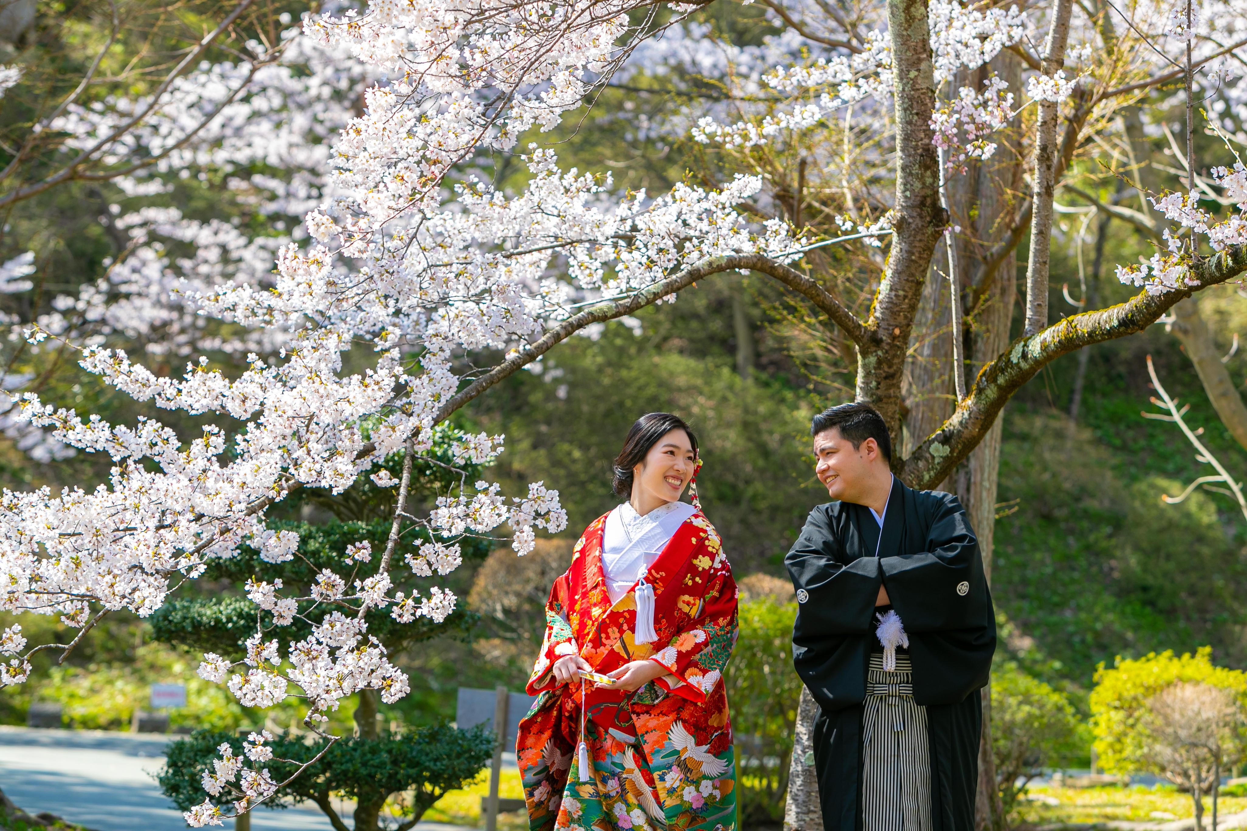 The Wedding Website of Francisco Villalobos and Ayaka Suzuki