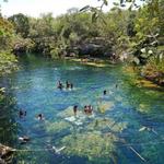 Jardin del Eden Cenotes
