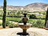 Robert Renzoni Vineyards