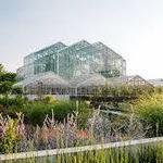 Frederik Meijer Gardens & Sculpture Park