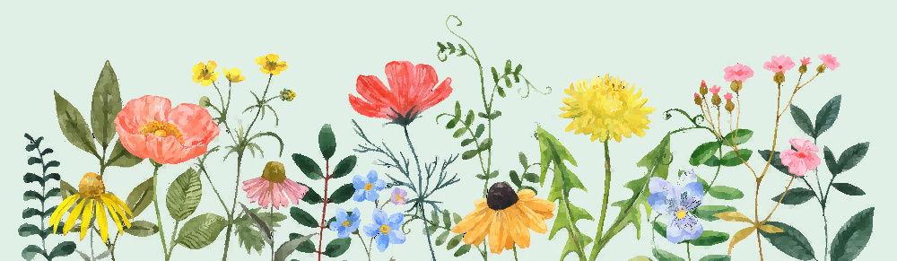 The Wedding Website of Jessica Freeling and Brian Hebert