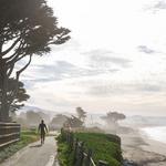 Walk, Run, or Bike Along the Coastal Trail