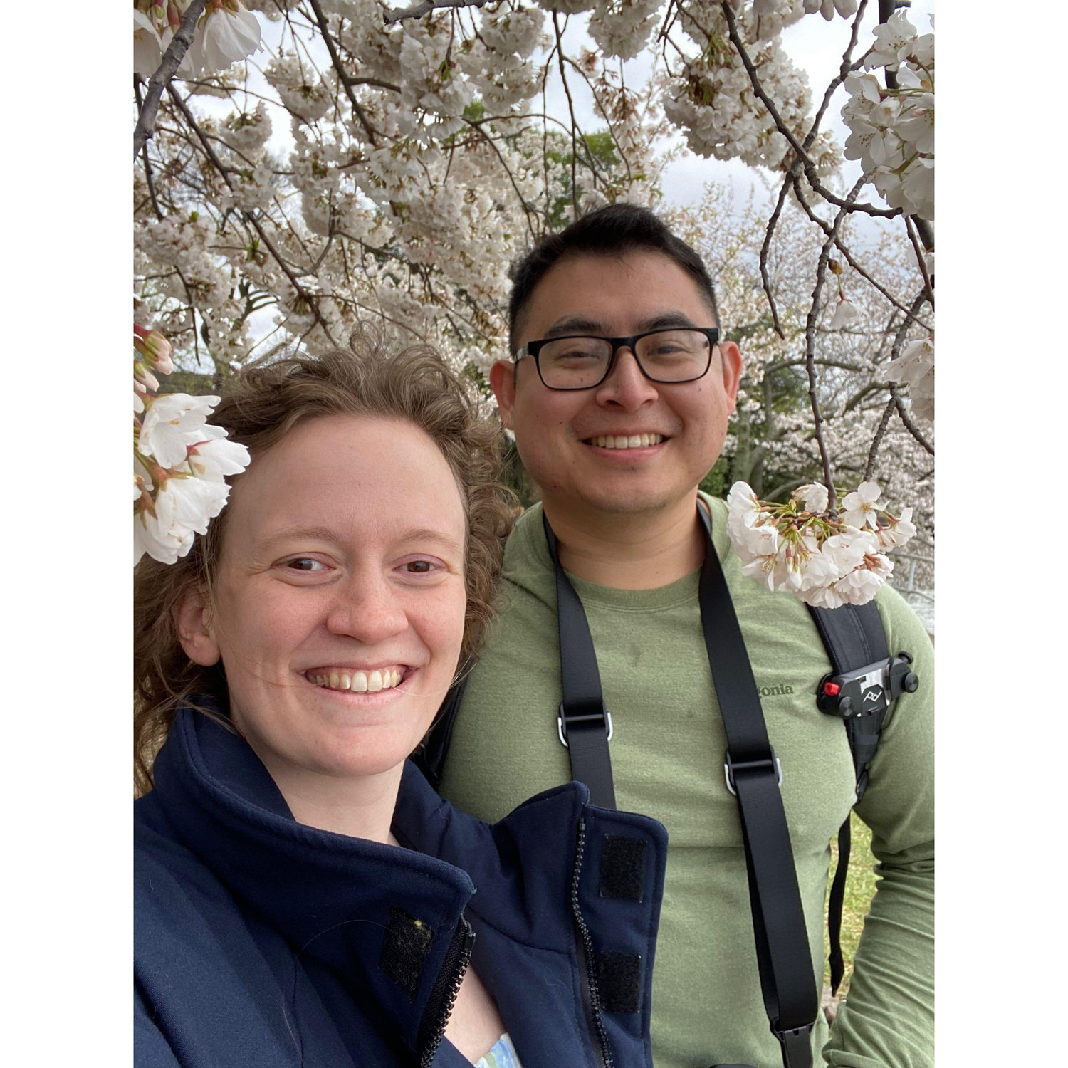 Cherry Blossom Festival - Washington DC, March 2024