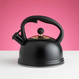 Otto Whistling Kettle