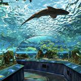 Ripley's Aquarium of Canada