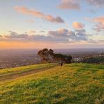 Mount Osmond Lookout