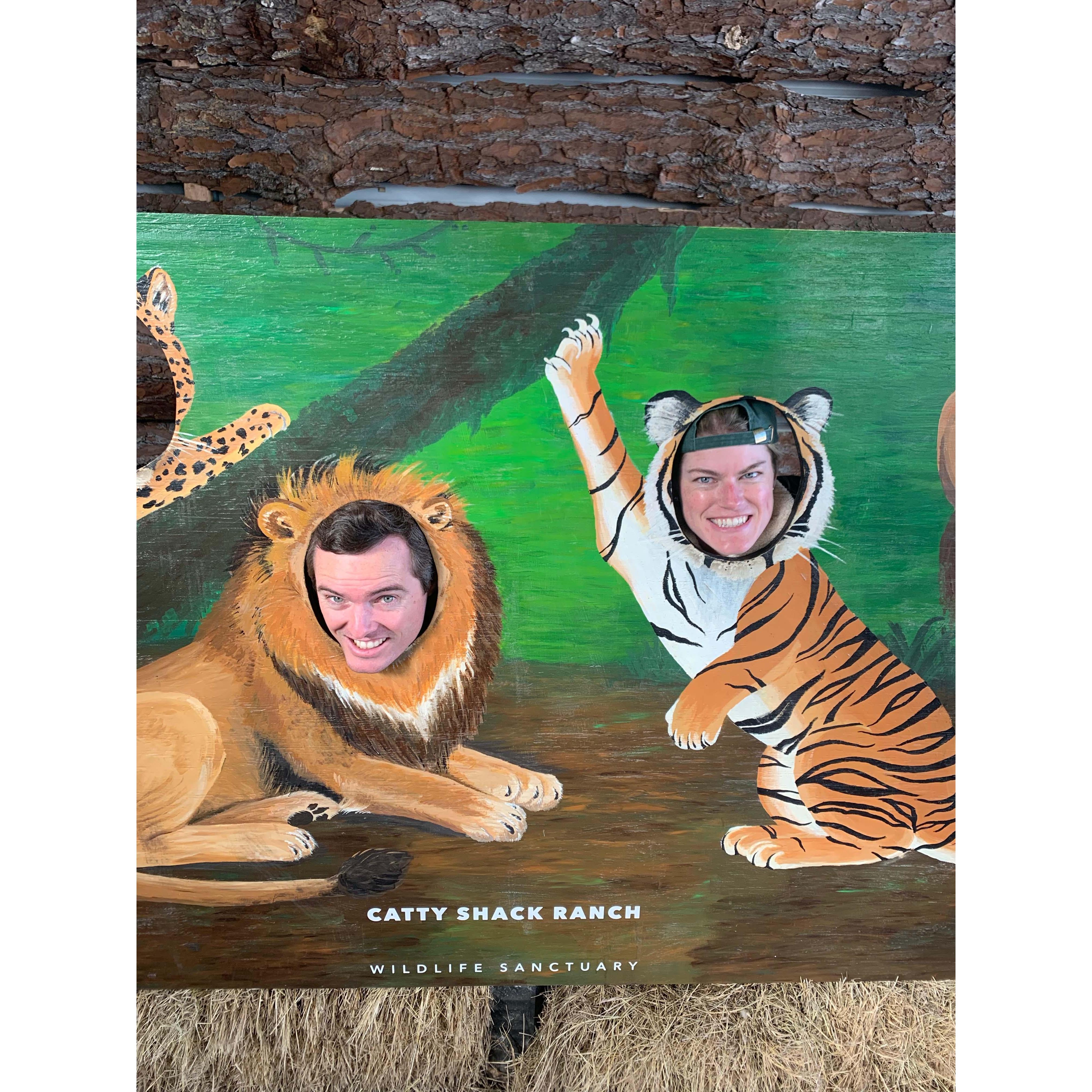 Photoshoot after learning about rescued Tigers, Lions, and Bears
Jacksonville, FL | November 2021