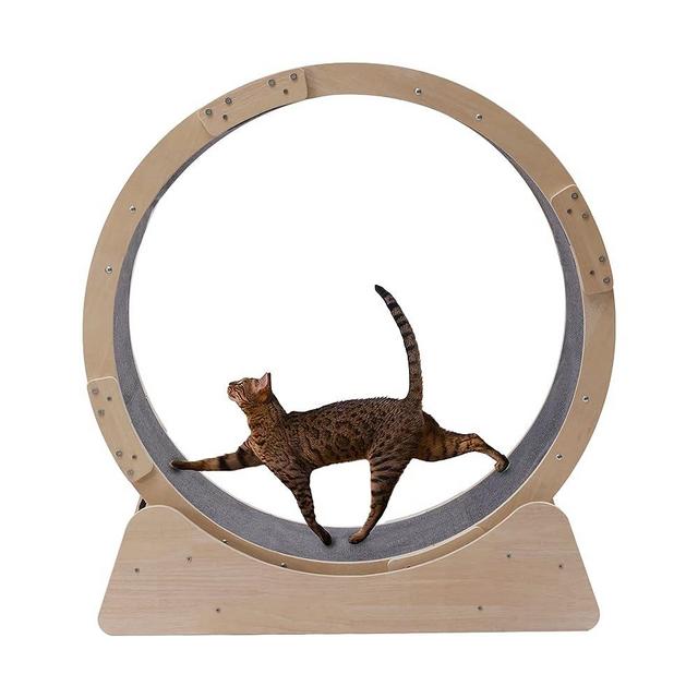 Cat Treadmill, Large Cat Exercise Wheel with Carpet Runway & Safety Lock Cat Running Wheels for Indoor Cats, Ultra-Quiet Running for Cat‘s Healthy