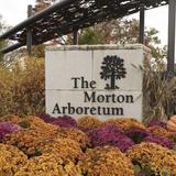 The Morton Arboretum