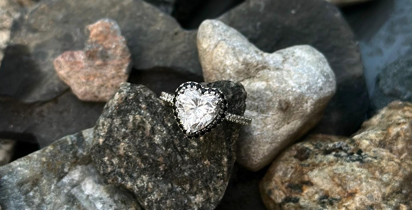 The Wedding Website of Avanah Sophia and Rogan Heath