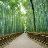 Arashiyama Nakaoshitacho