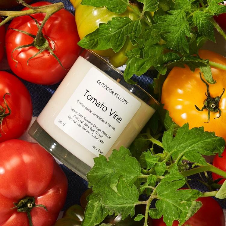 Outdoor Fellow, Tomato Vine Candle | Zola