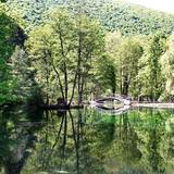 Vrelo Bosne