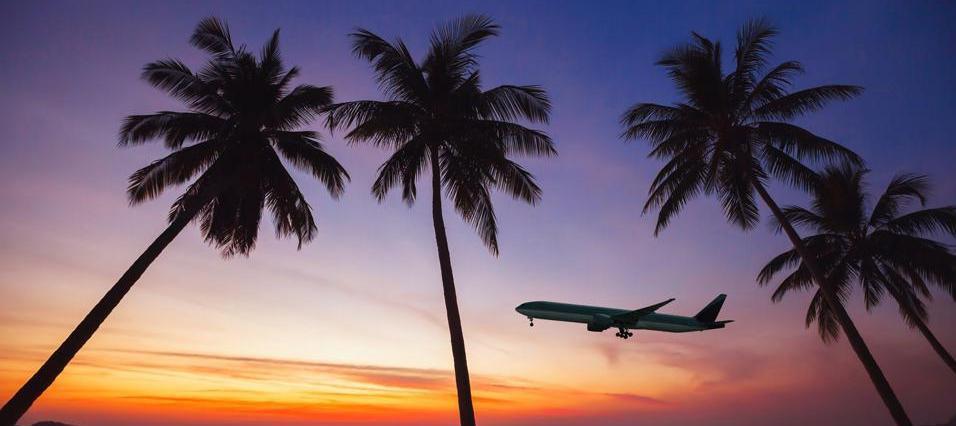 The Wedding Website of Ryan Julien and Stevee Tyla Delvaille