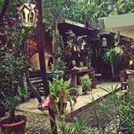 Casa Jaguar
