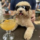 Katy Trail Ice House
