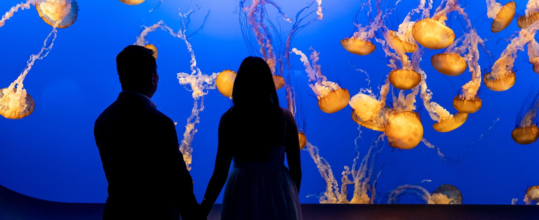 The Wedding Website of Aruna Gossai and Ryan Le