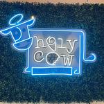 Holy Cow Ice Cream Cafe