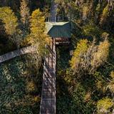 Grand Bay Wildlife Management Area