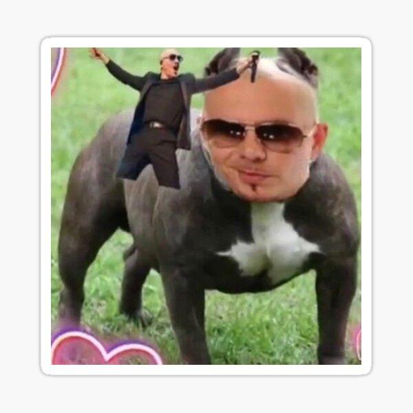 his tumblr profile pic XD