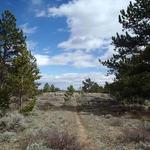 Happy Jack Trailhead