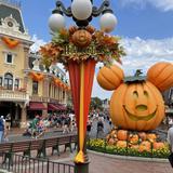 Disneyland Park