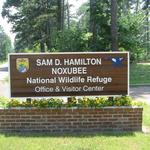 Noxubee Refuge. Bluff Lake Boardwalk