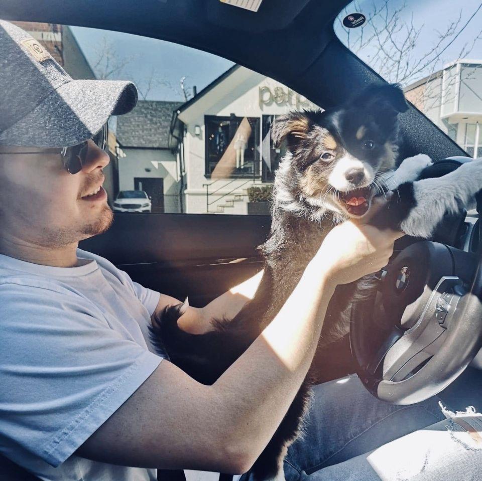 Baby Nala's first driving lesson 🤍