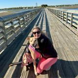 Pitt Street Bridge