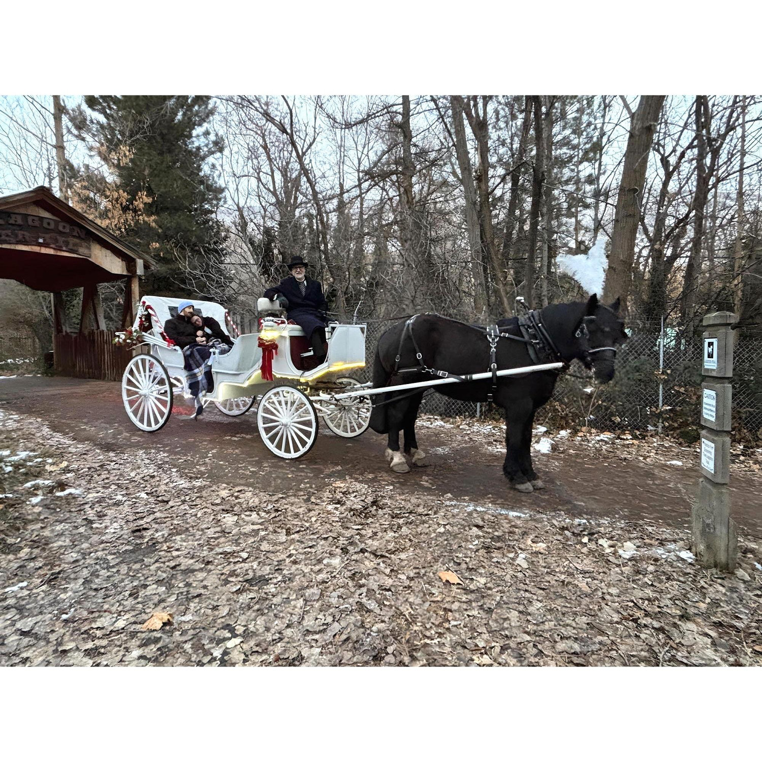 carriage ride with hank